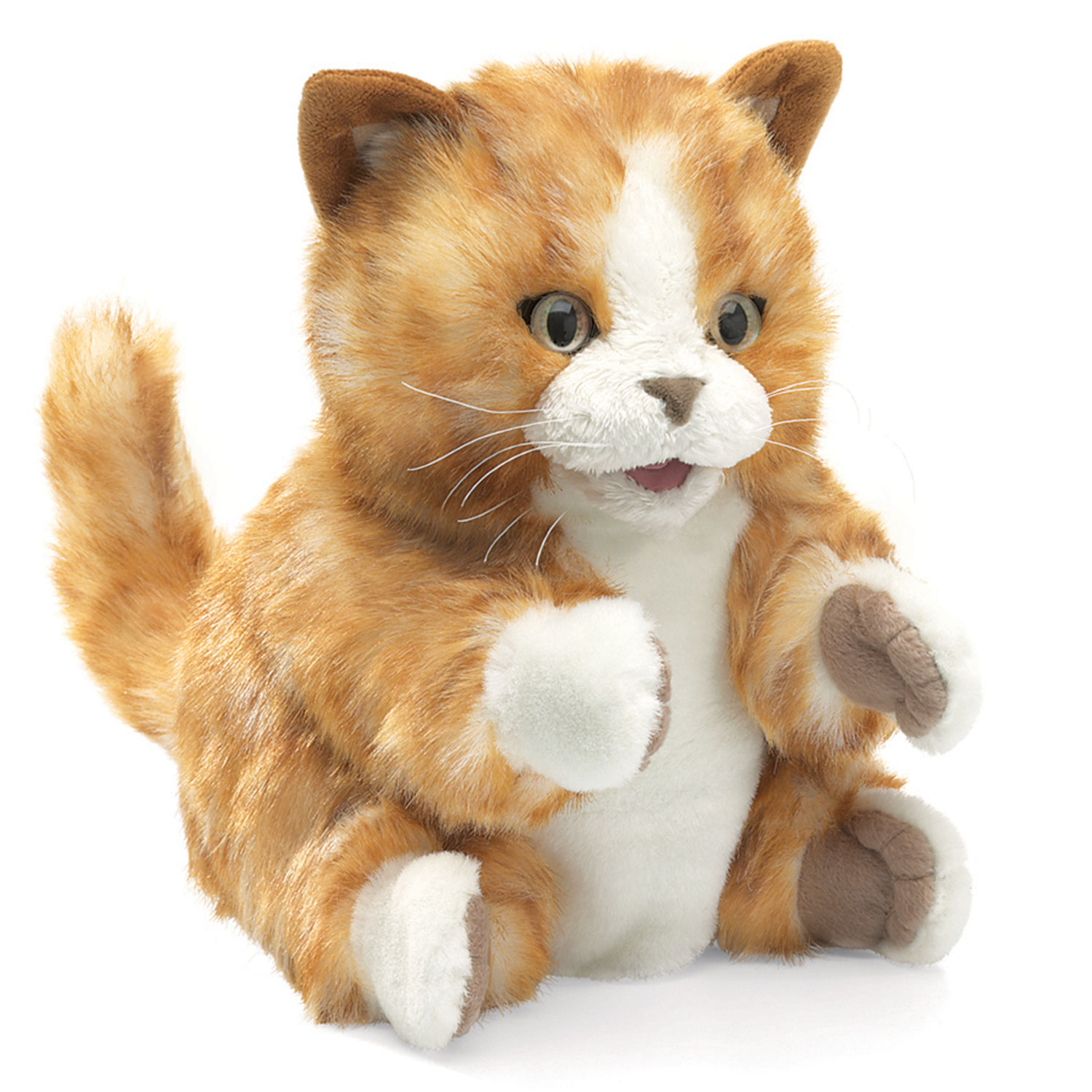 Kätzchen orange-braun / Orange Tabby Kitten
