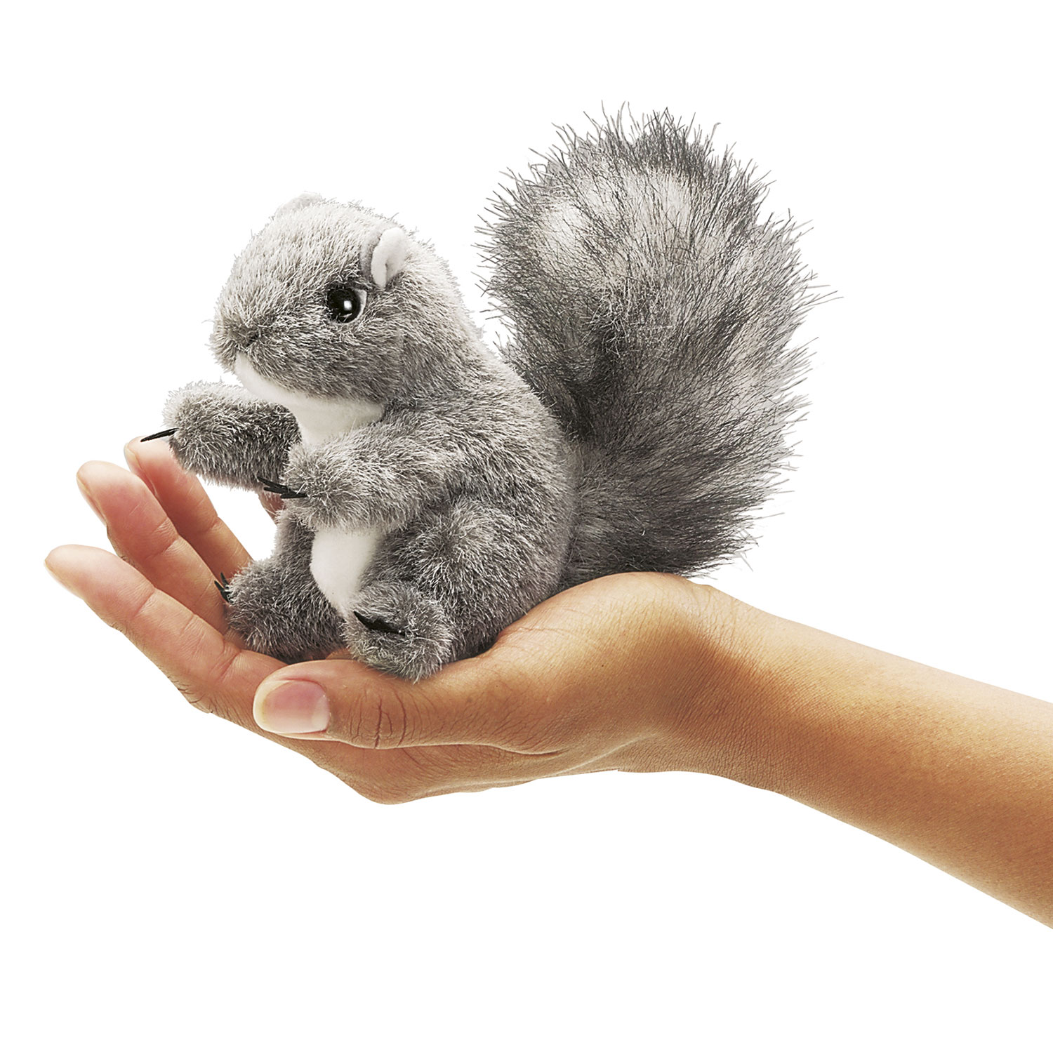 Mini  Eichhörnchen,  grau / Mini Grey Squirrel
