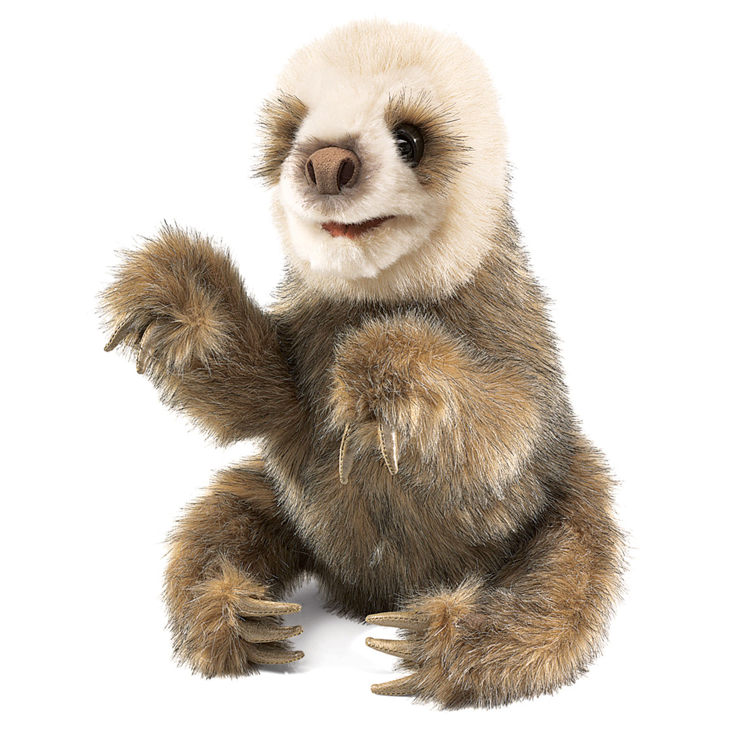 Faultierbaby / Baby Sloth