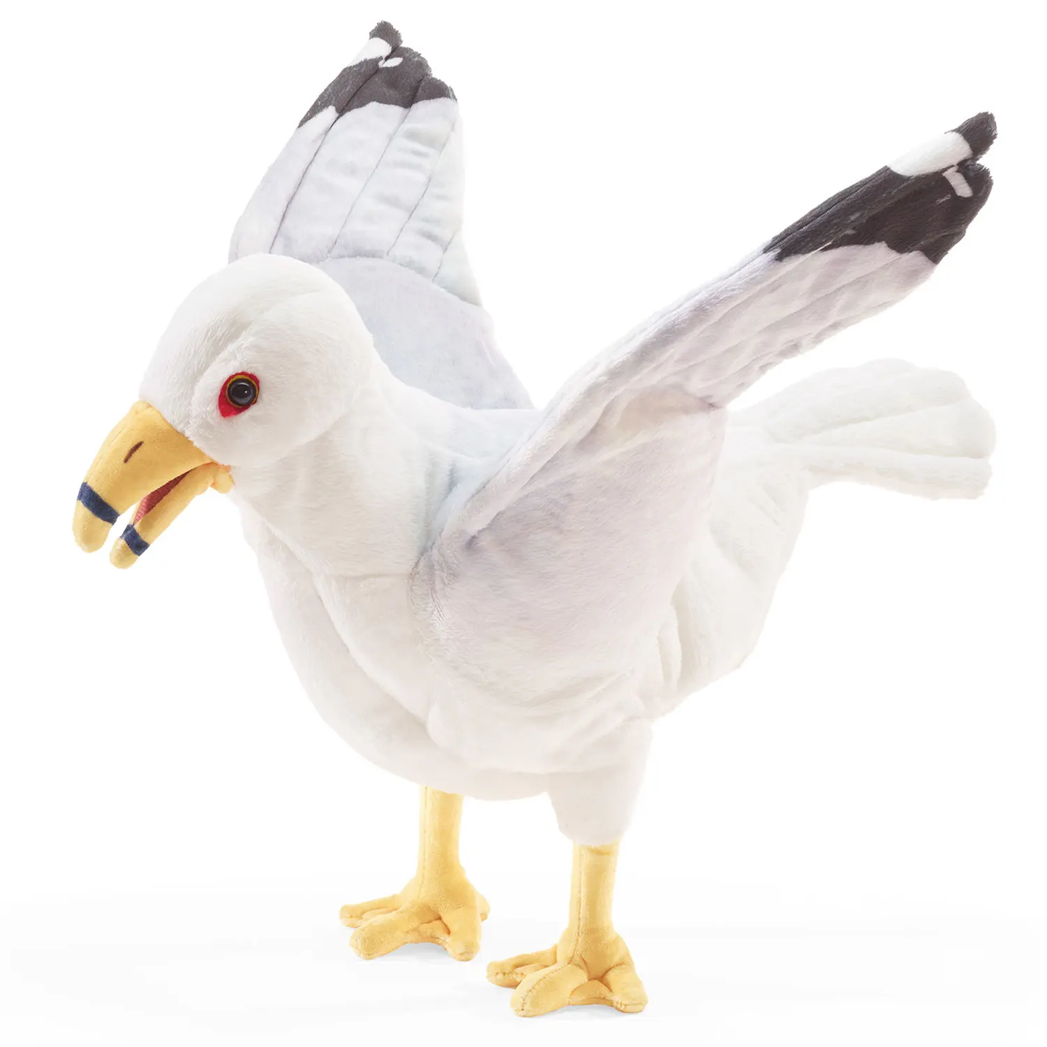 Möwe / Gull