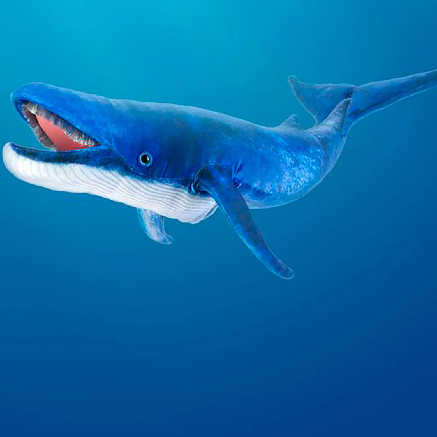 Blauwal / Blue whale-Folkmanis® Puppets