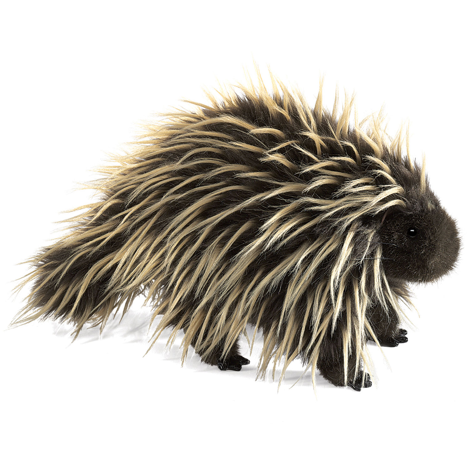 Stachelschwein / Porcupine