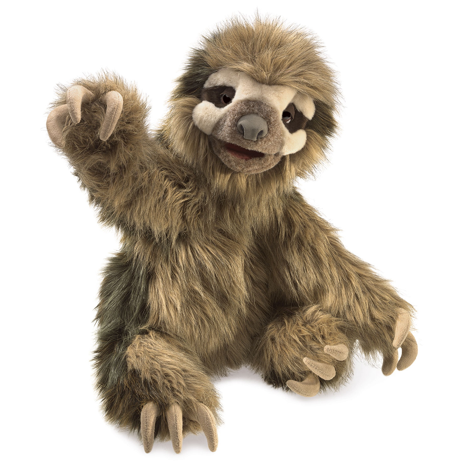 Dreifinger-Faultier / Three-Toed Sloth