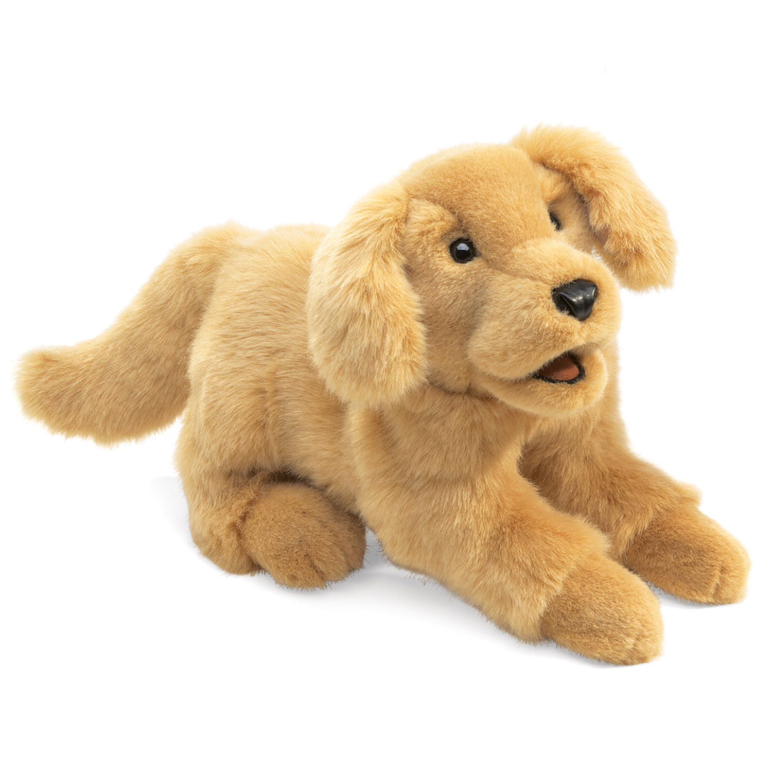 Golden Retriever Baby / Golden Retriever Puppy