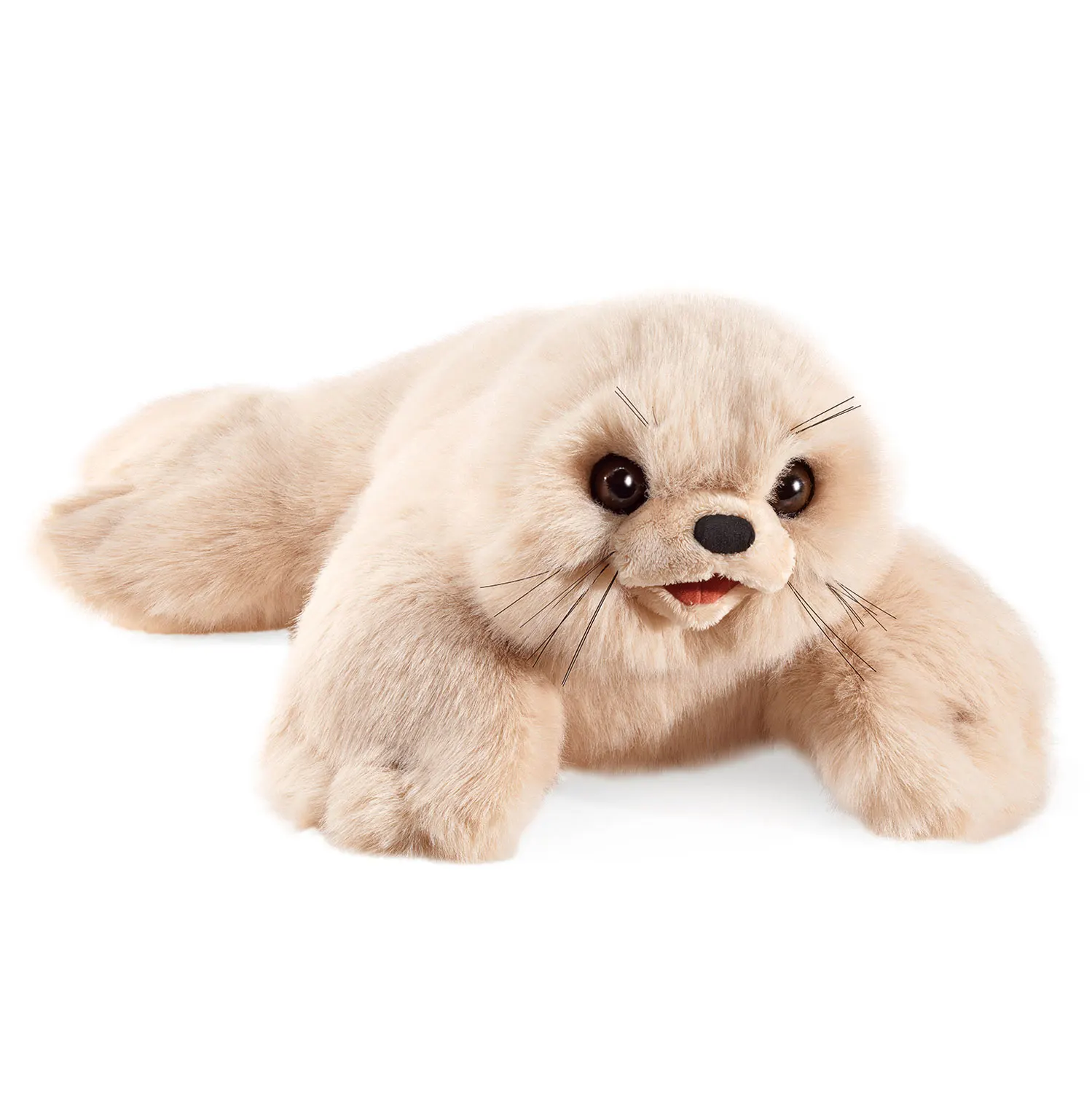 Harp Seal Pup / Robbenbaby
