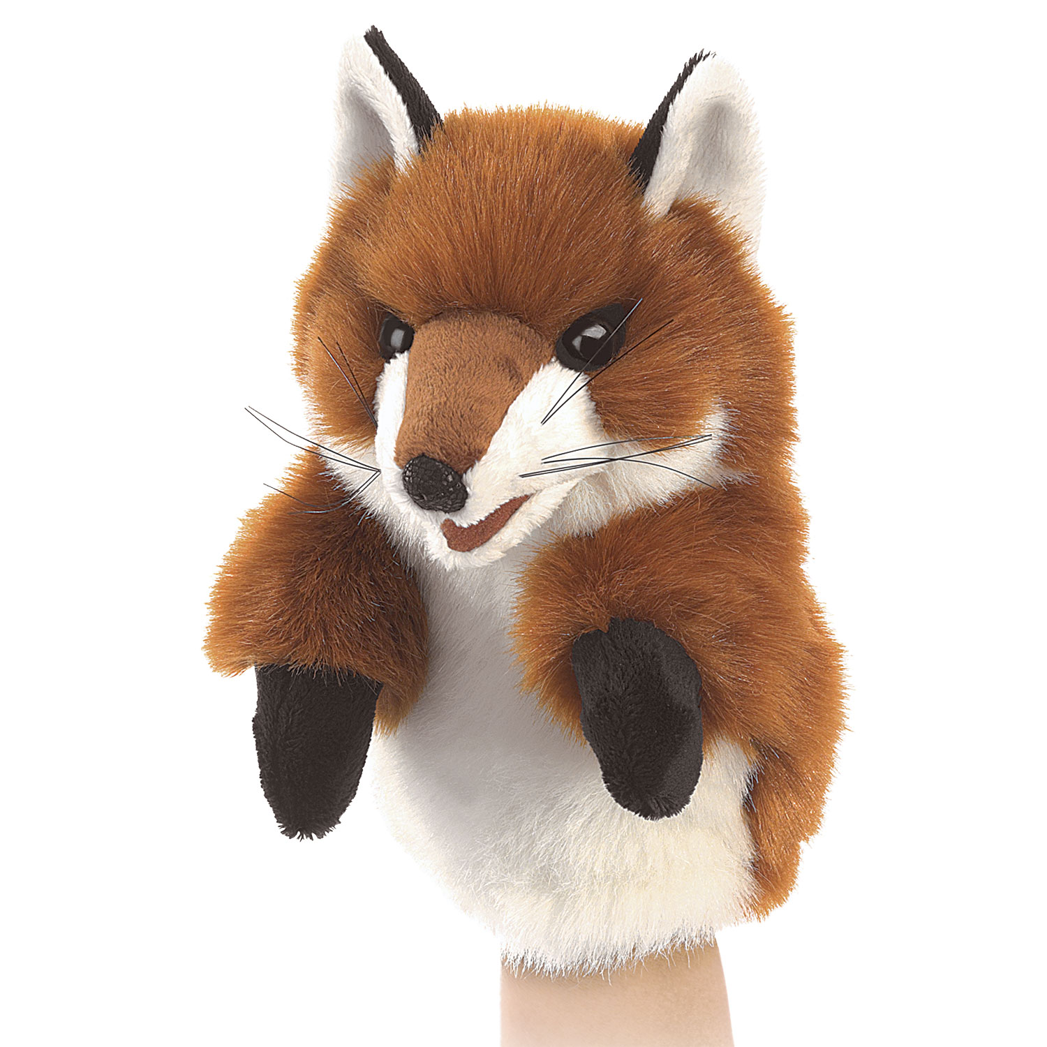 Kleiner Fuchs / Little Fox