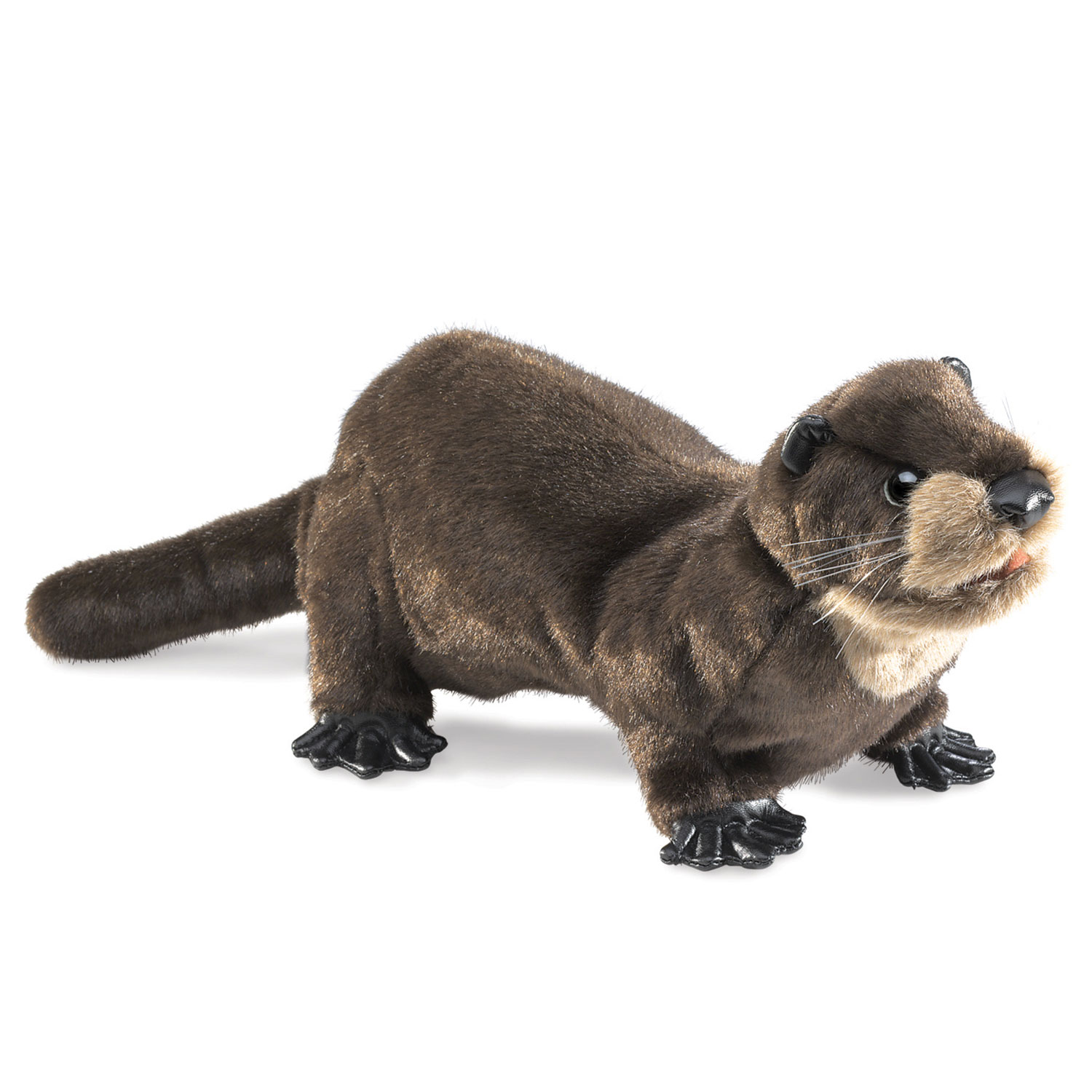 Flussotter / River Otter
