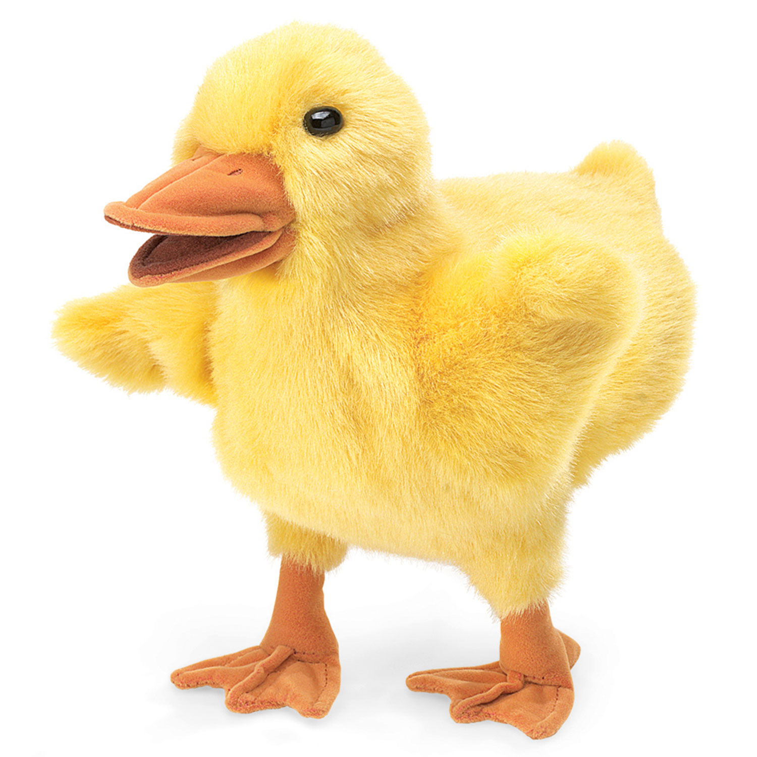 Küken / Duckling