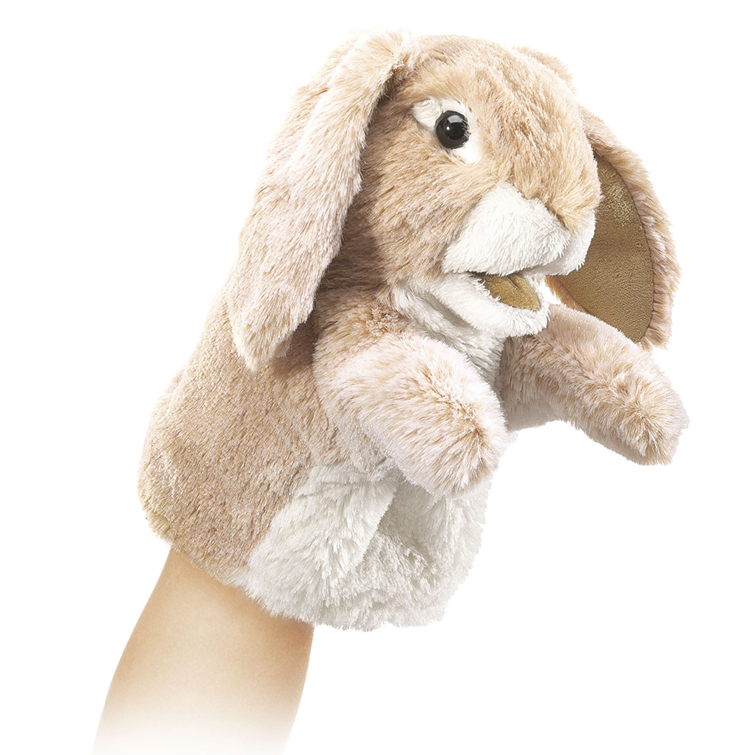 Kleiner Hängeohrhase / Little Lopeared Rabbit