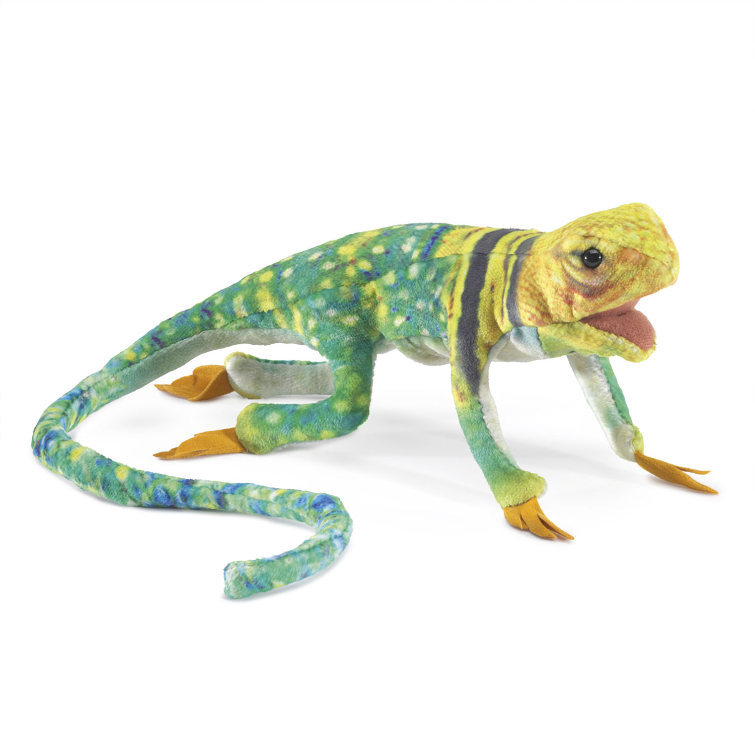 Mini Collared Lizard / Mini Eidechse