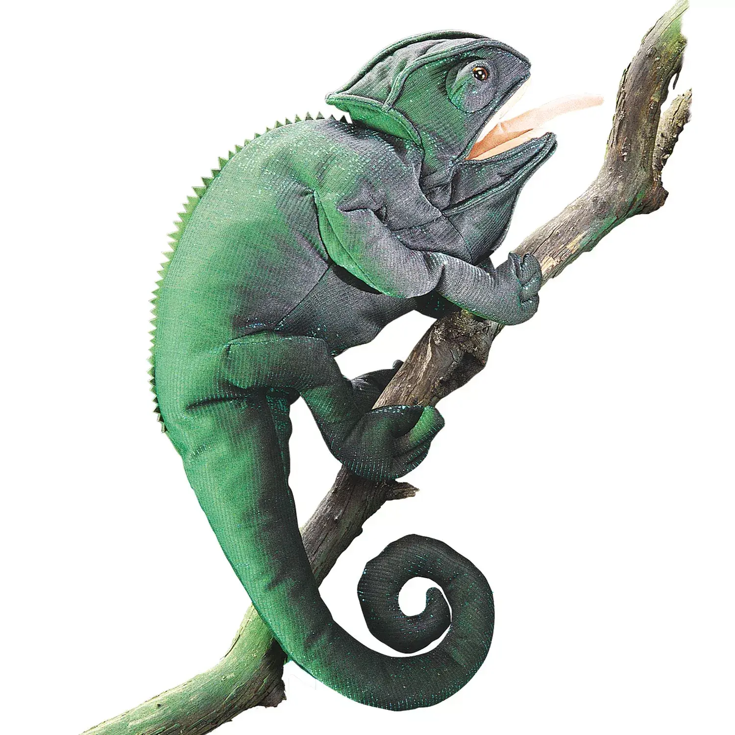 Chamäleon / Chameleon