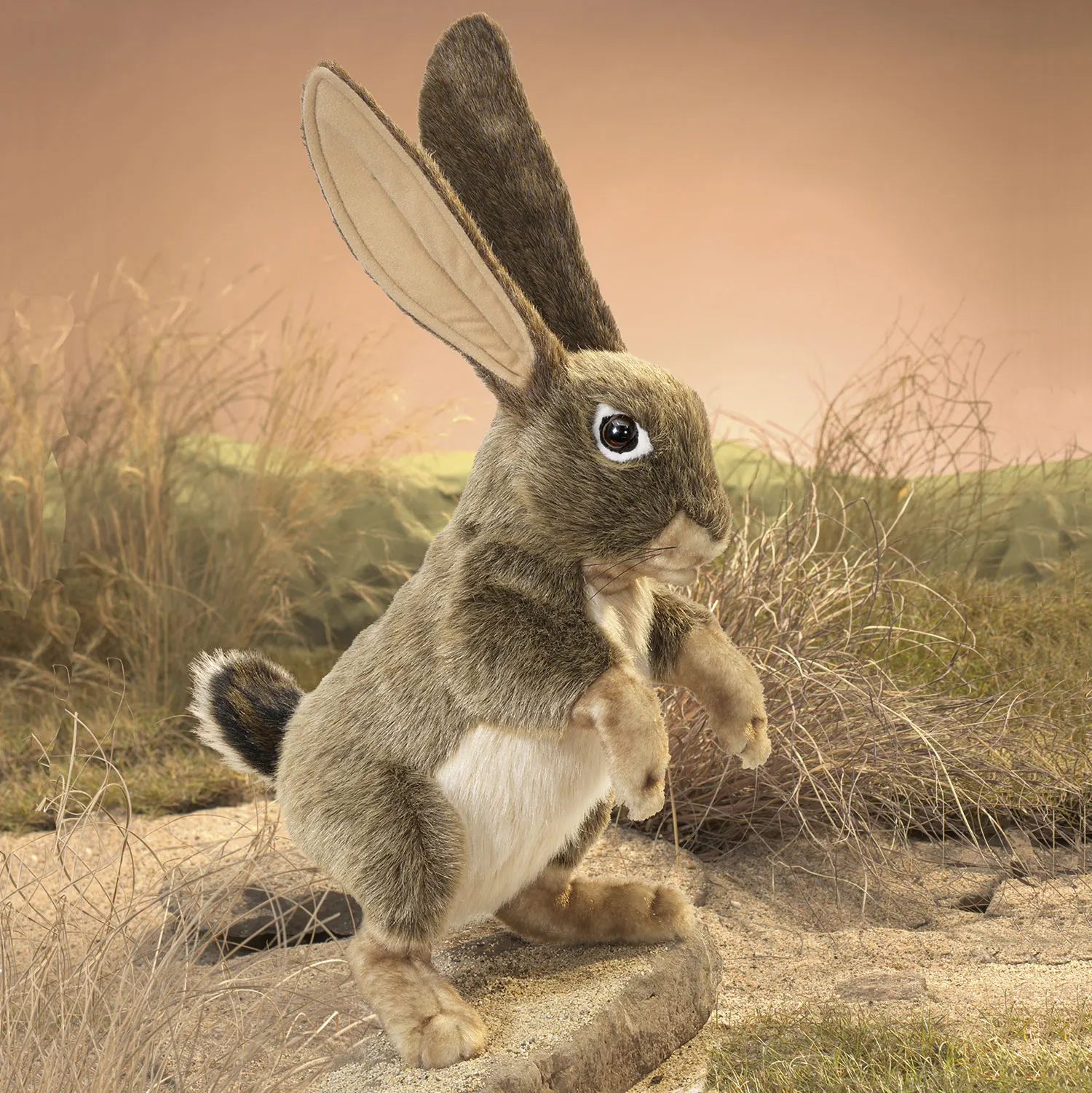 Feldhase  / Jack Rabbit-Folkmanis® Puppets