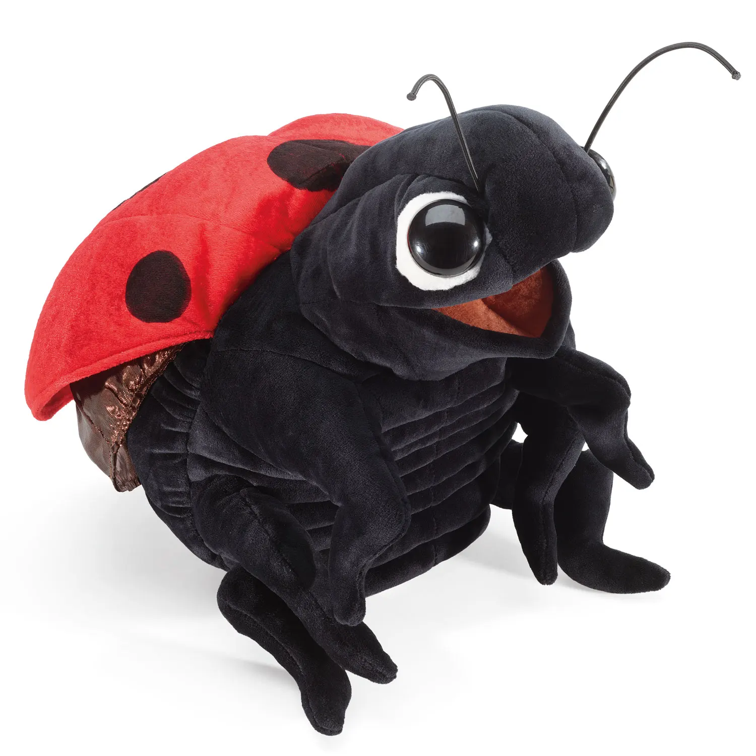 Ladybug / Marienkäfer