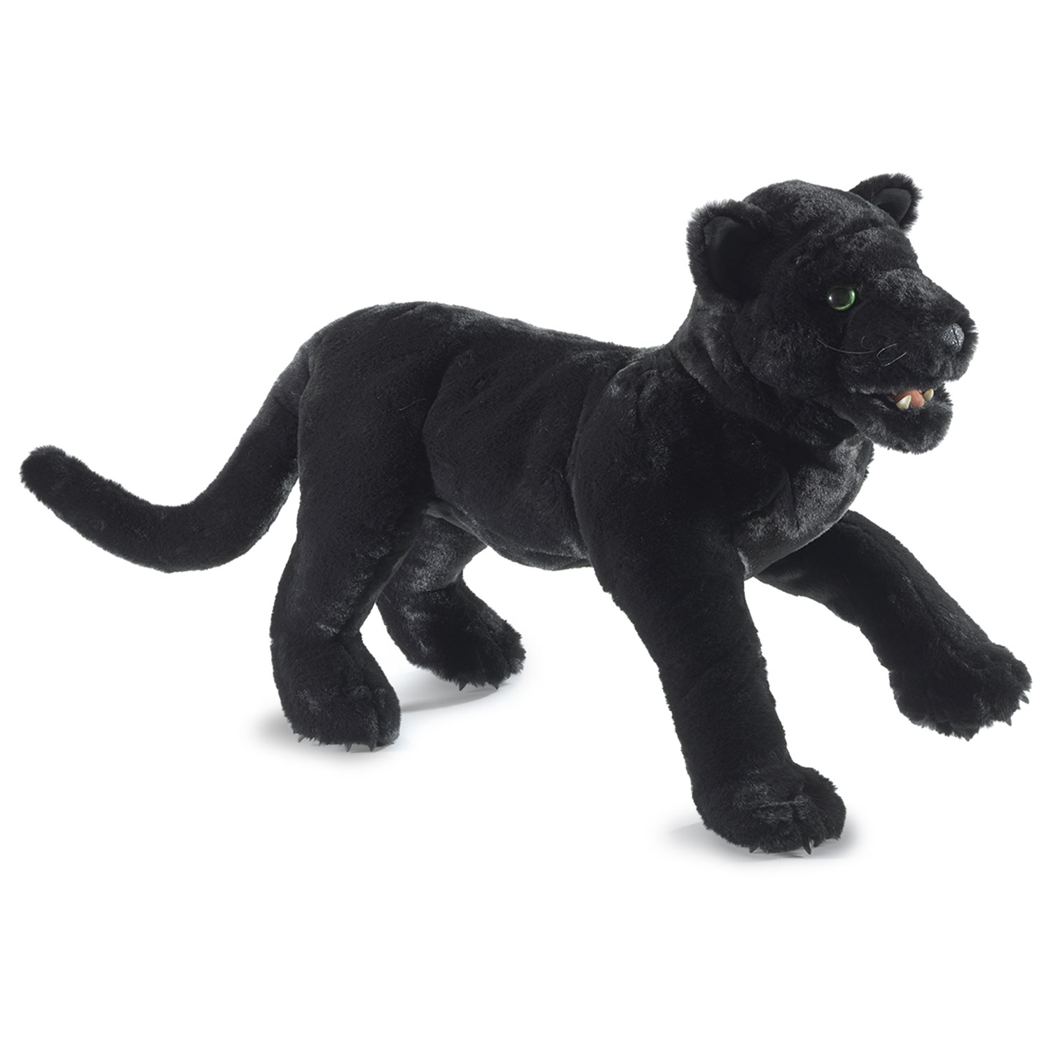 schwarzer Panther / Black Panther