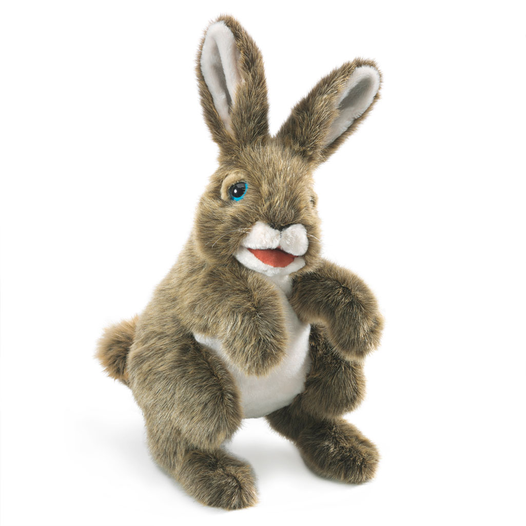 Hase / Hare