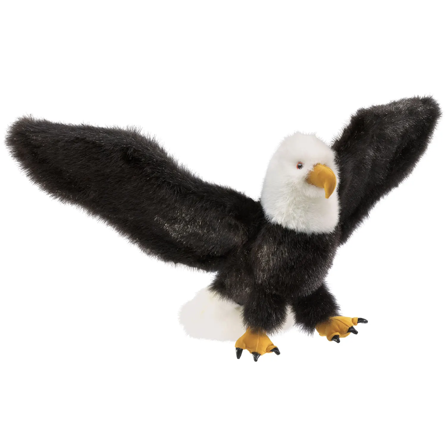 Weißkopfseeadler / Eagle