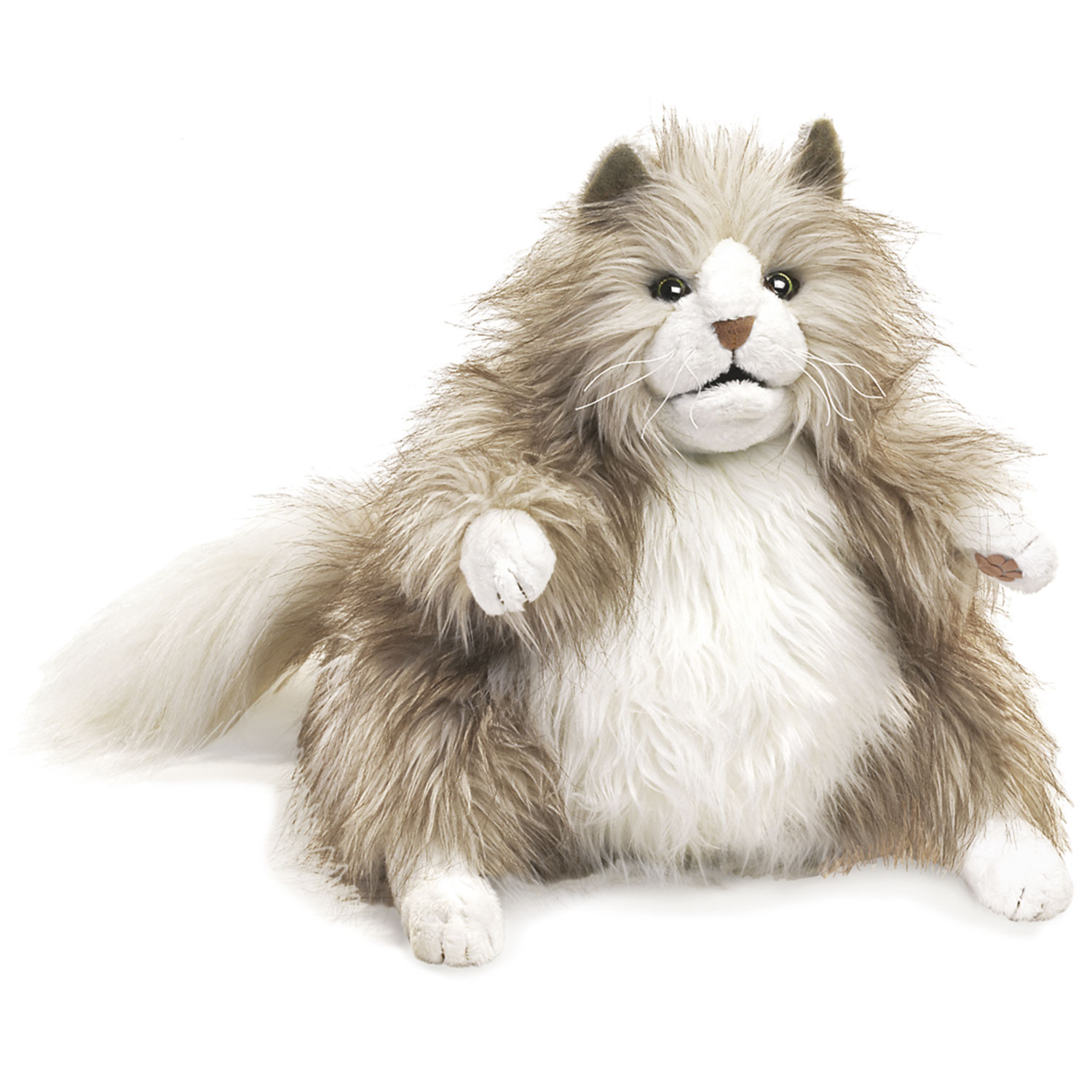 Pummelige Katze / Fluffy Cat