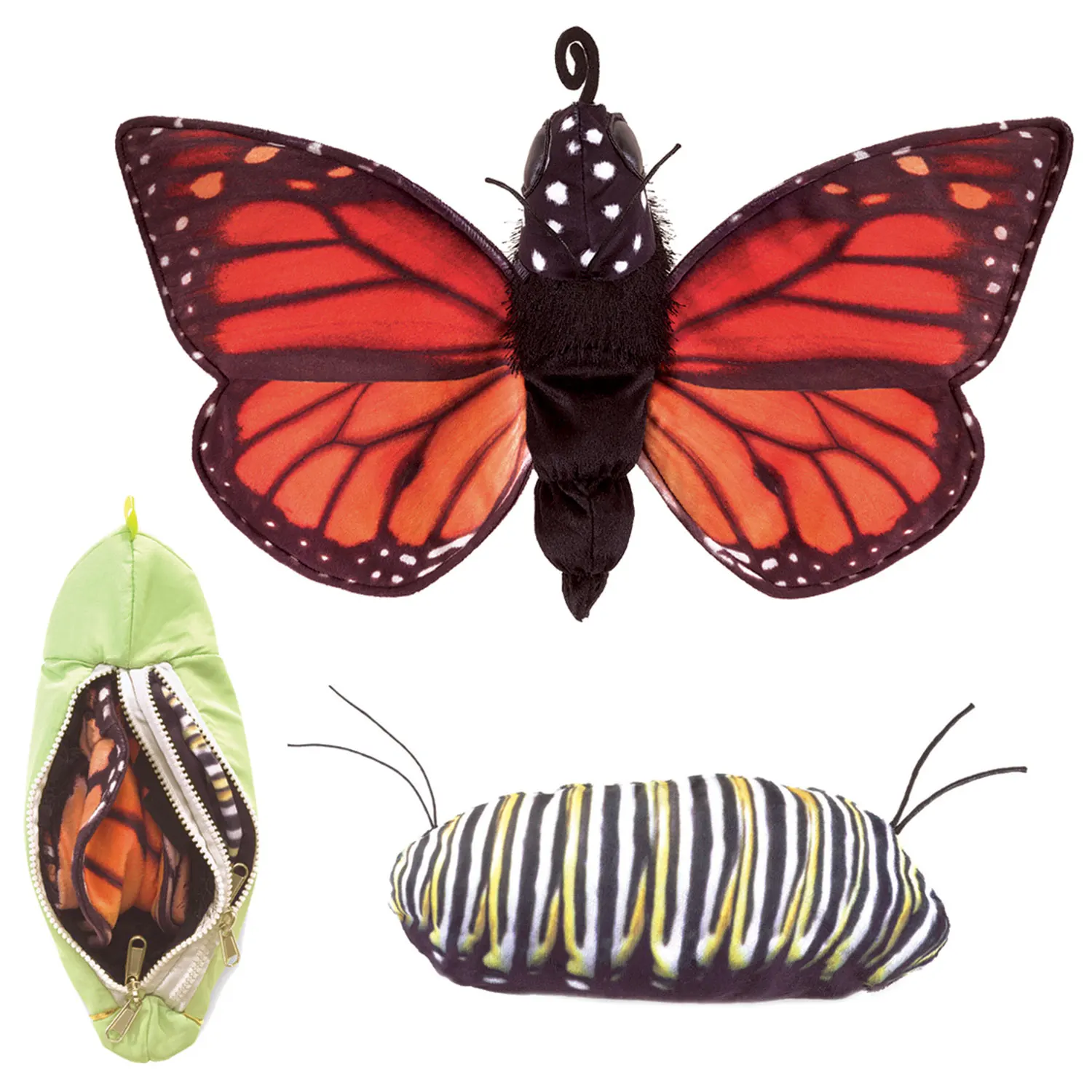 Metamorphose Schmetterling / Monarch Life Cycle - Metamorphose-Folkmanis® Puppets