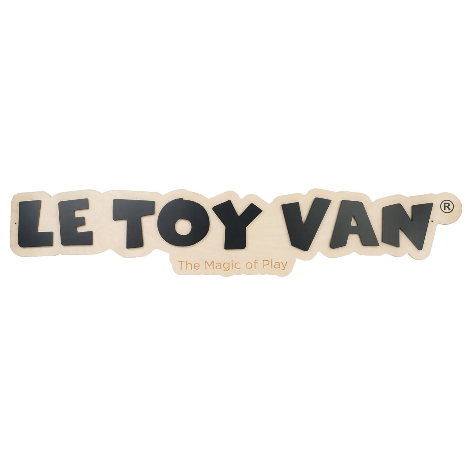LTV Logo Board