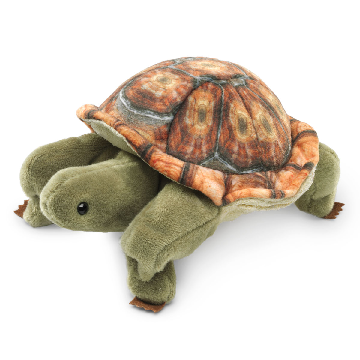Mini Landschildkröte / Mini Tortoise