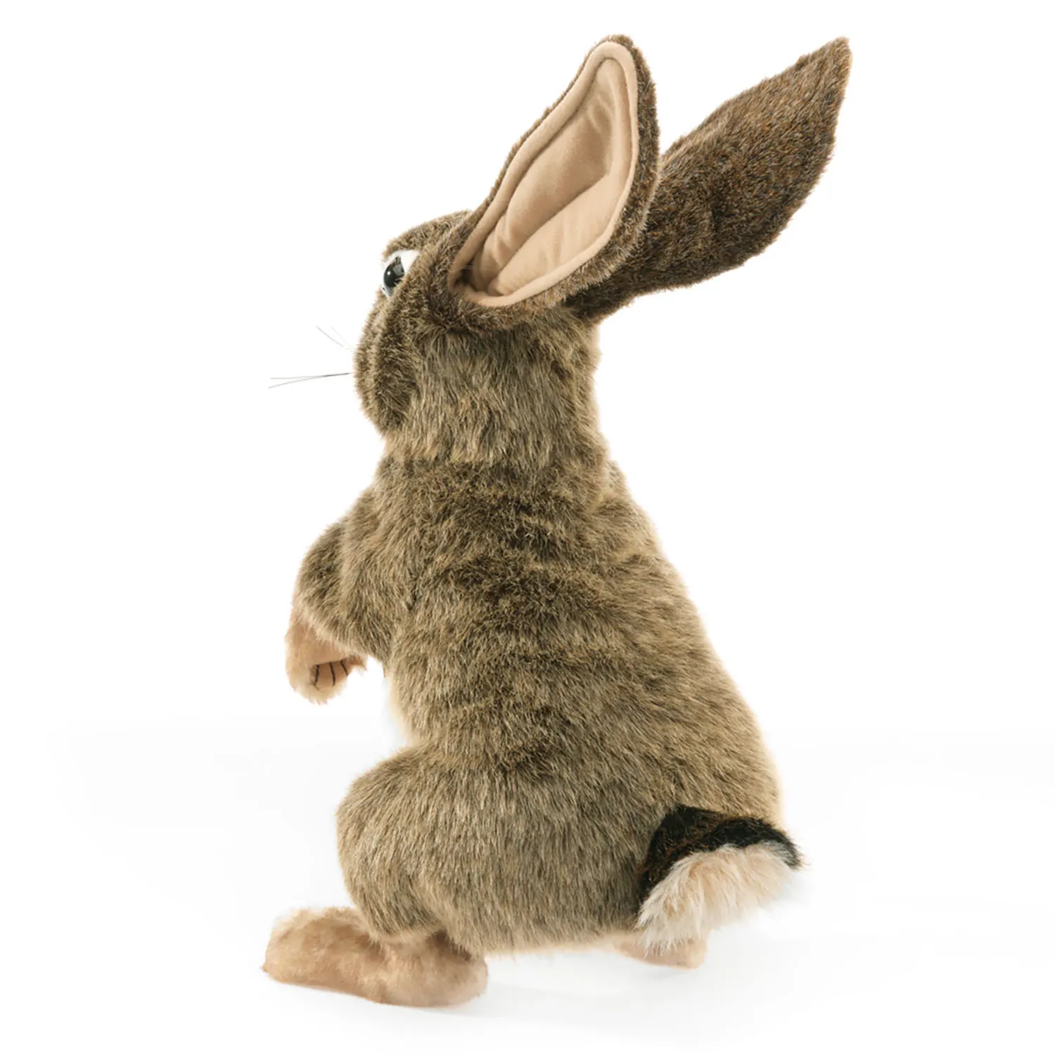 Feldhase  / Jack Rabbit-Folkmanis® Puppets