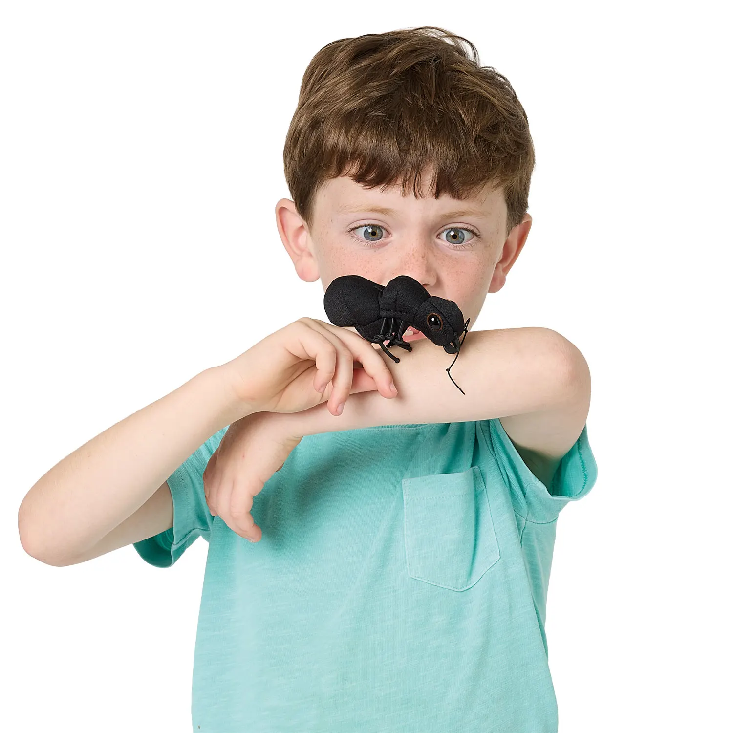 Mini Ant / Mini Ameise-Folkmanis® Handpuppen