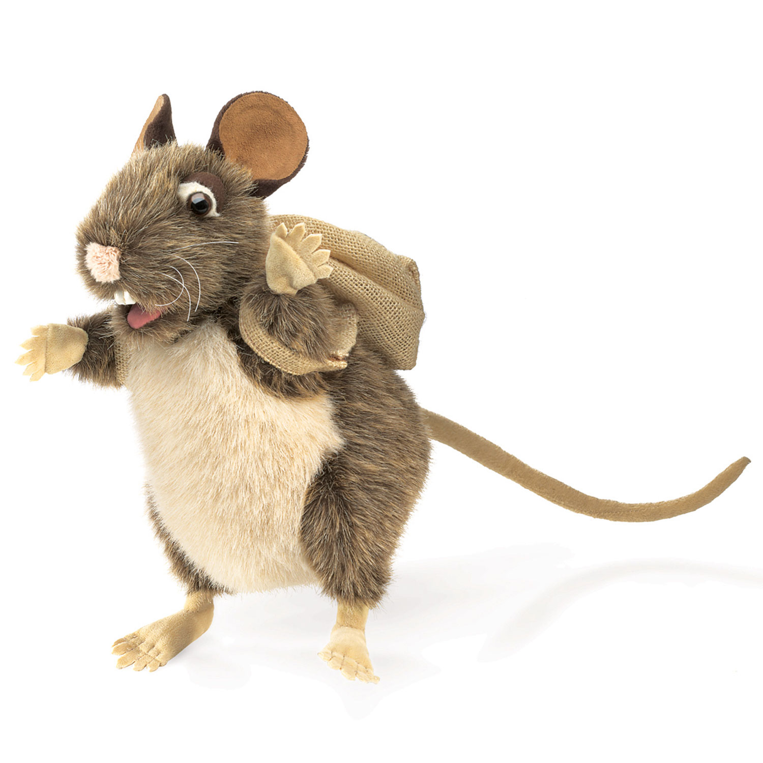 Ratte, sammelt gern / Pack Rat