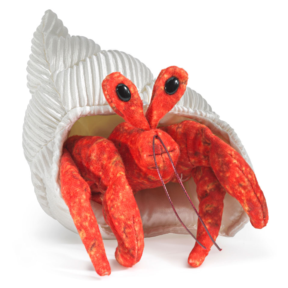 Mini Einsiedlerkrebs / Mini Hermit Crab