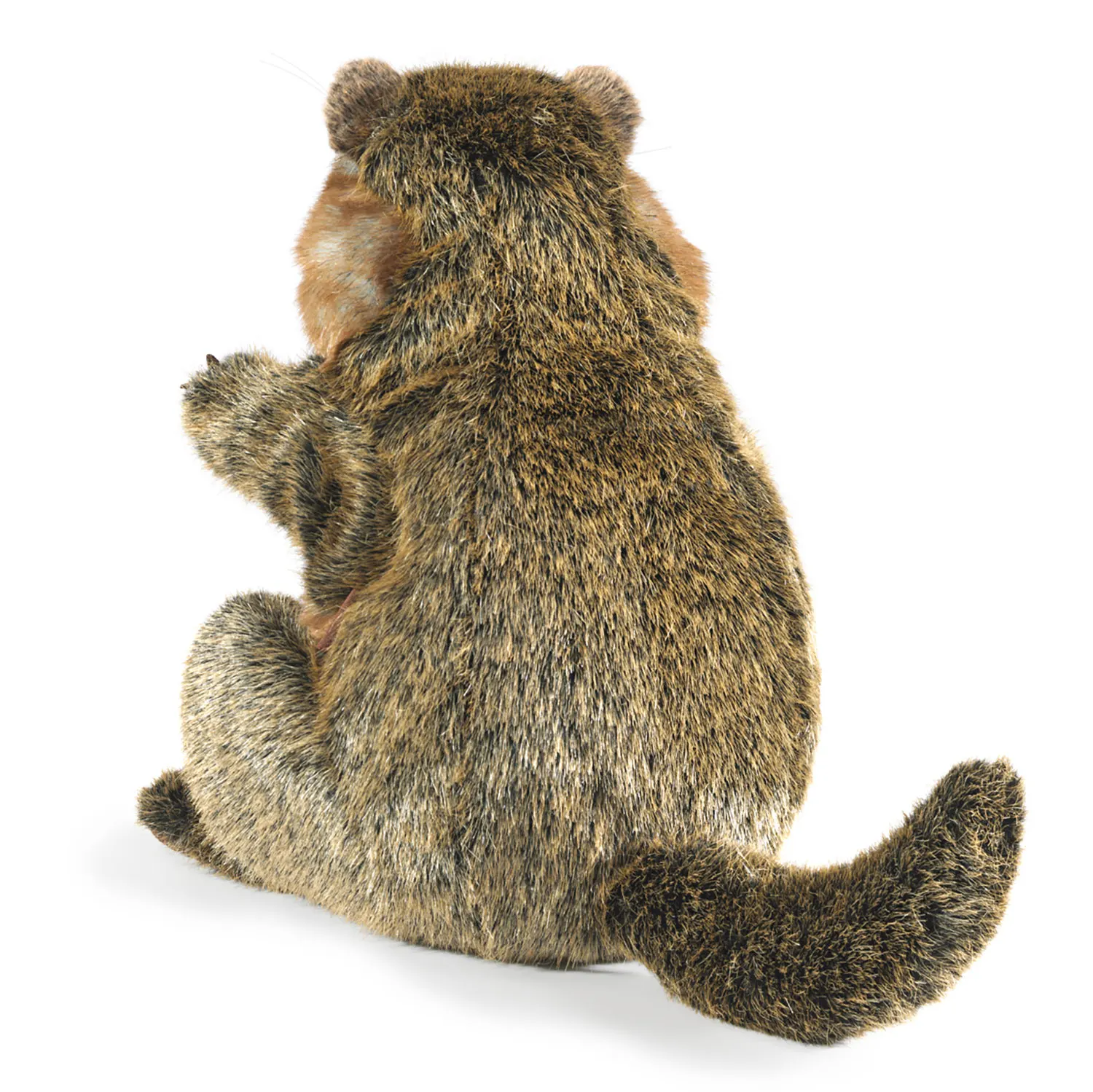 Murmeltier / Groundhog-Folkmanis® Puppets