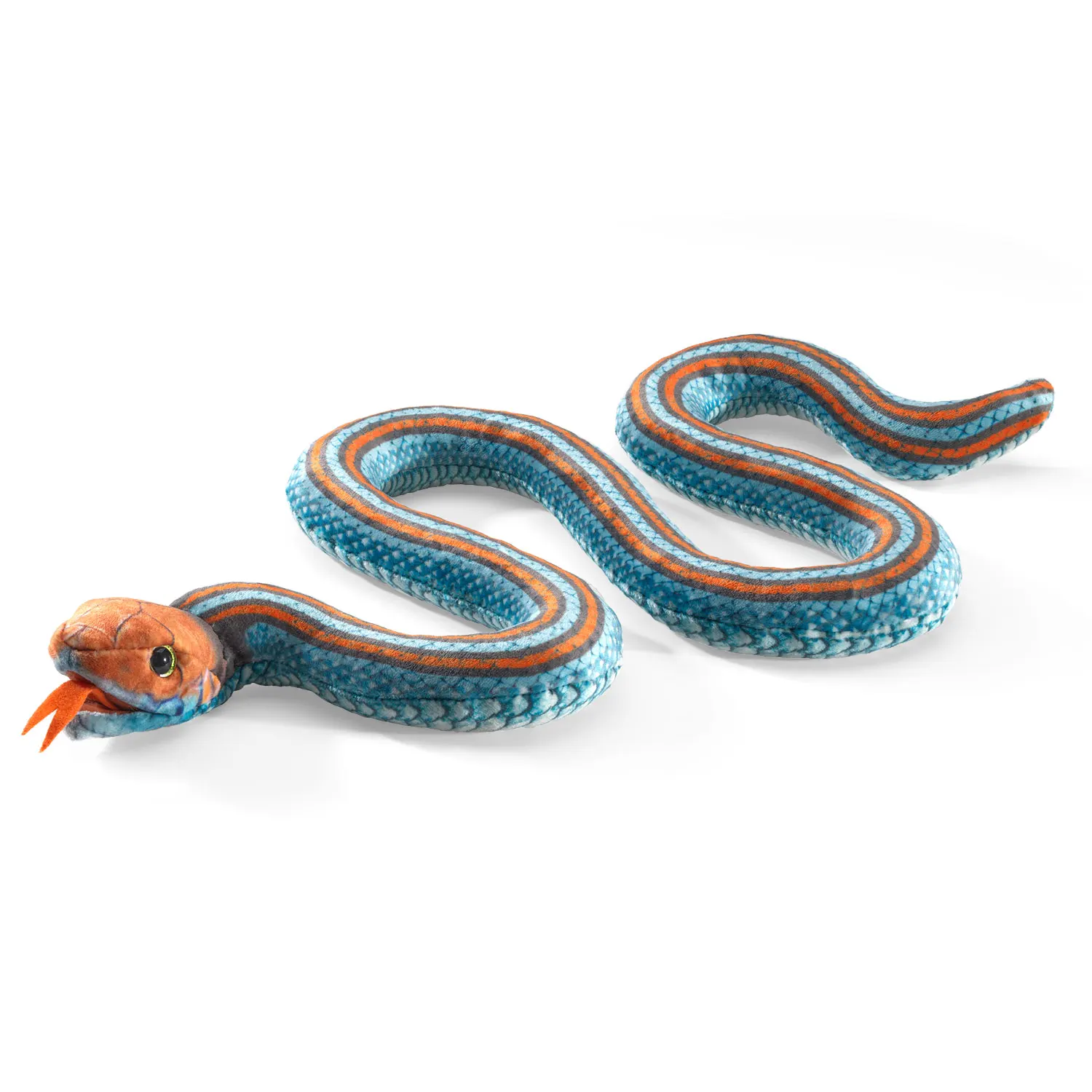San Francisco Garter Snake / Strumpfbandnatter