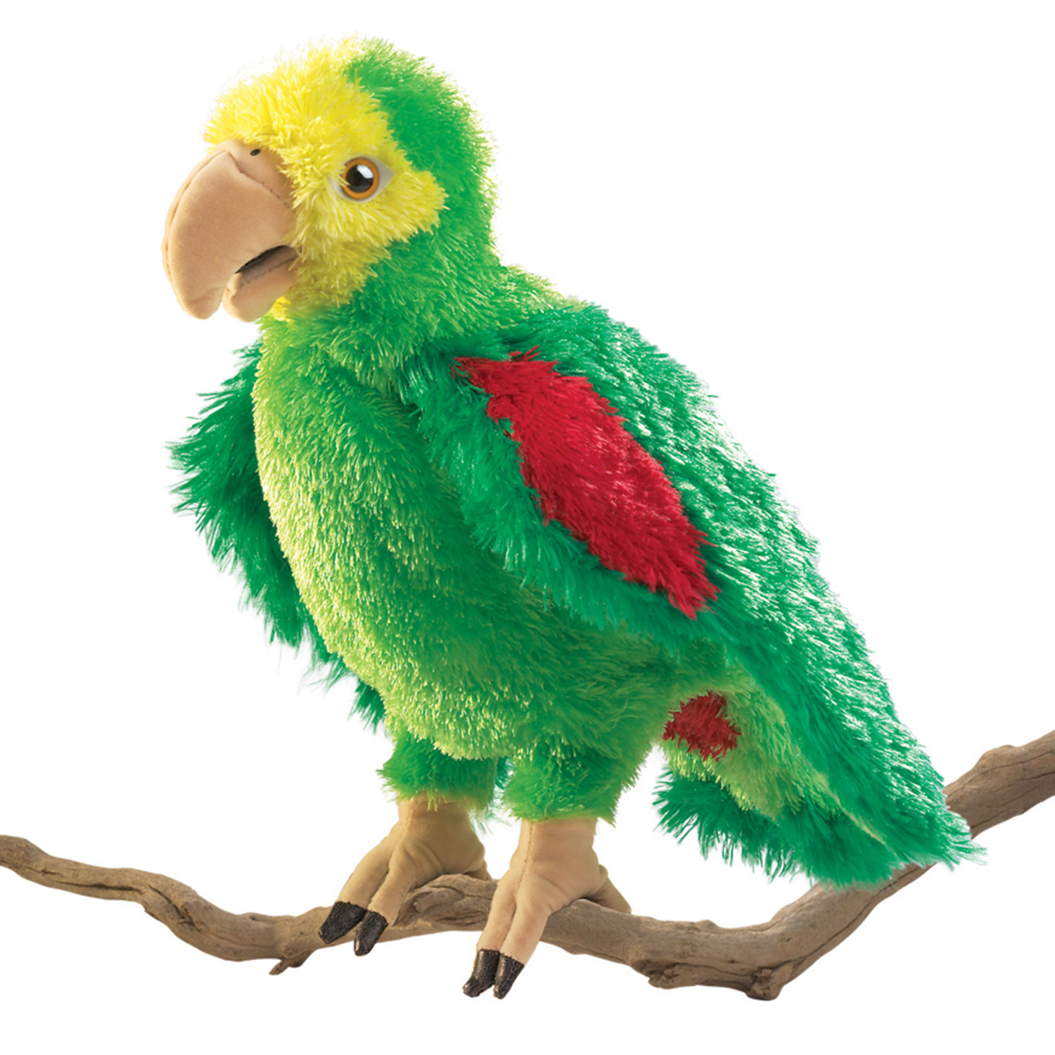 Amazonen-Papagei / Amazon Parrot