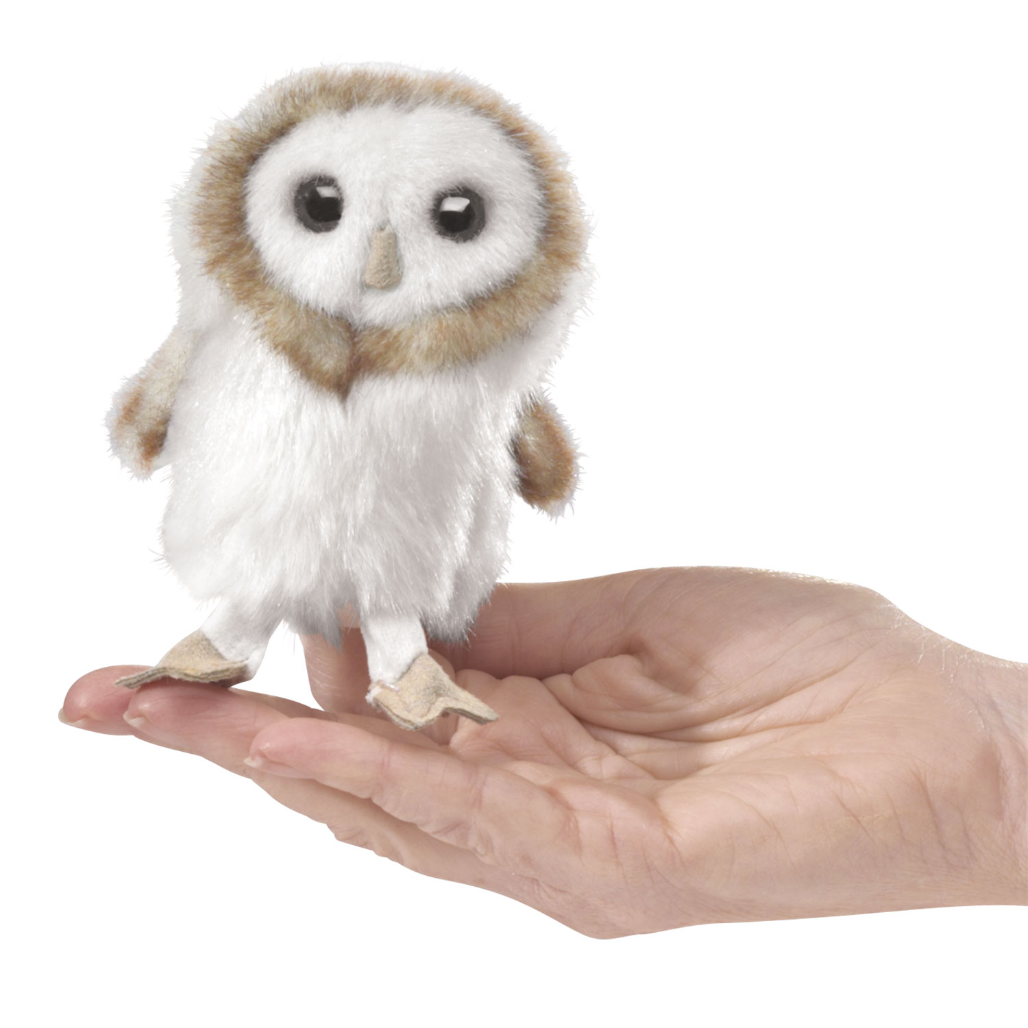Mini Schleiereule / Mini Barn Owl