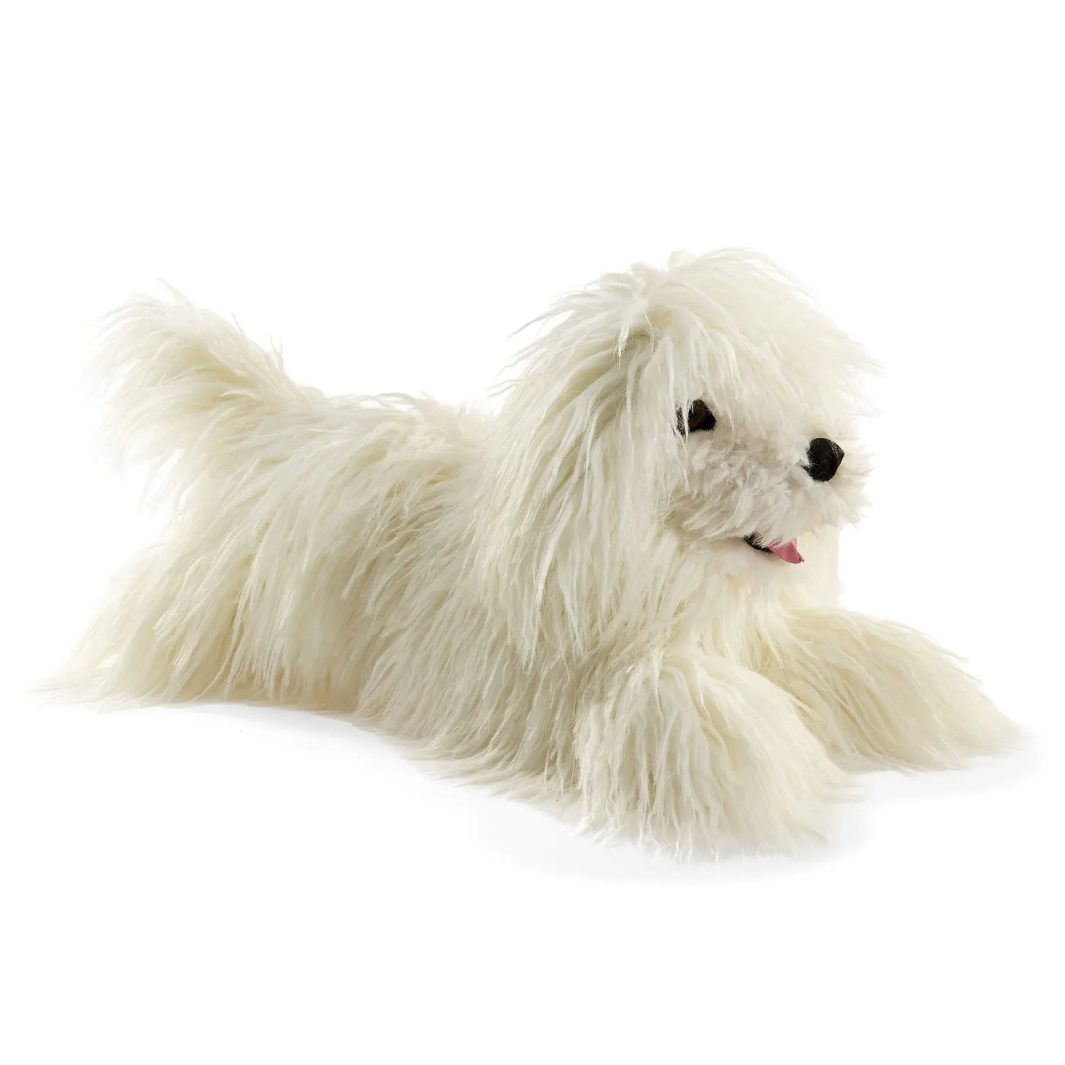 Komondor / Wischmophund