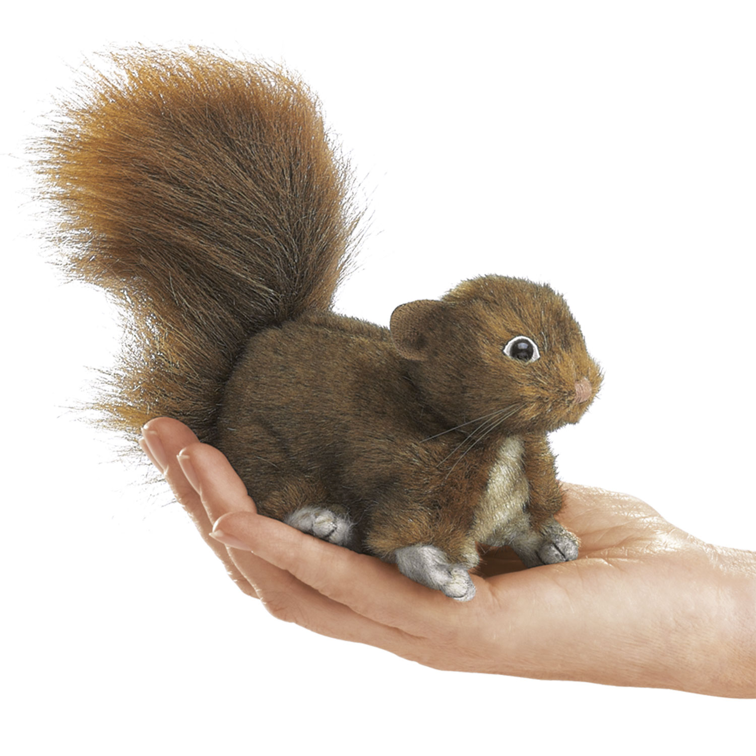 Mini Eichhörnchen, rot / Mini Red Squirrel