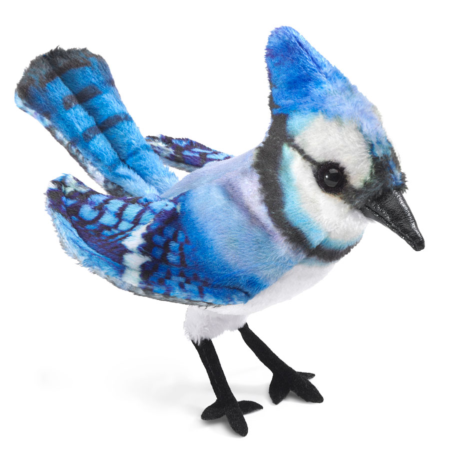 Mini Blauhäher/ Mini Blue Jay