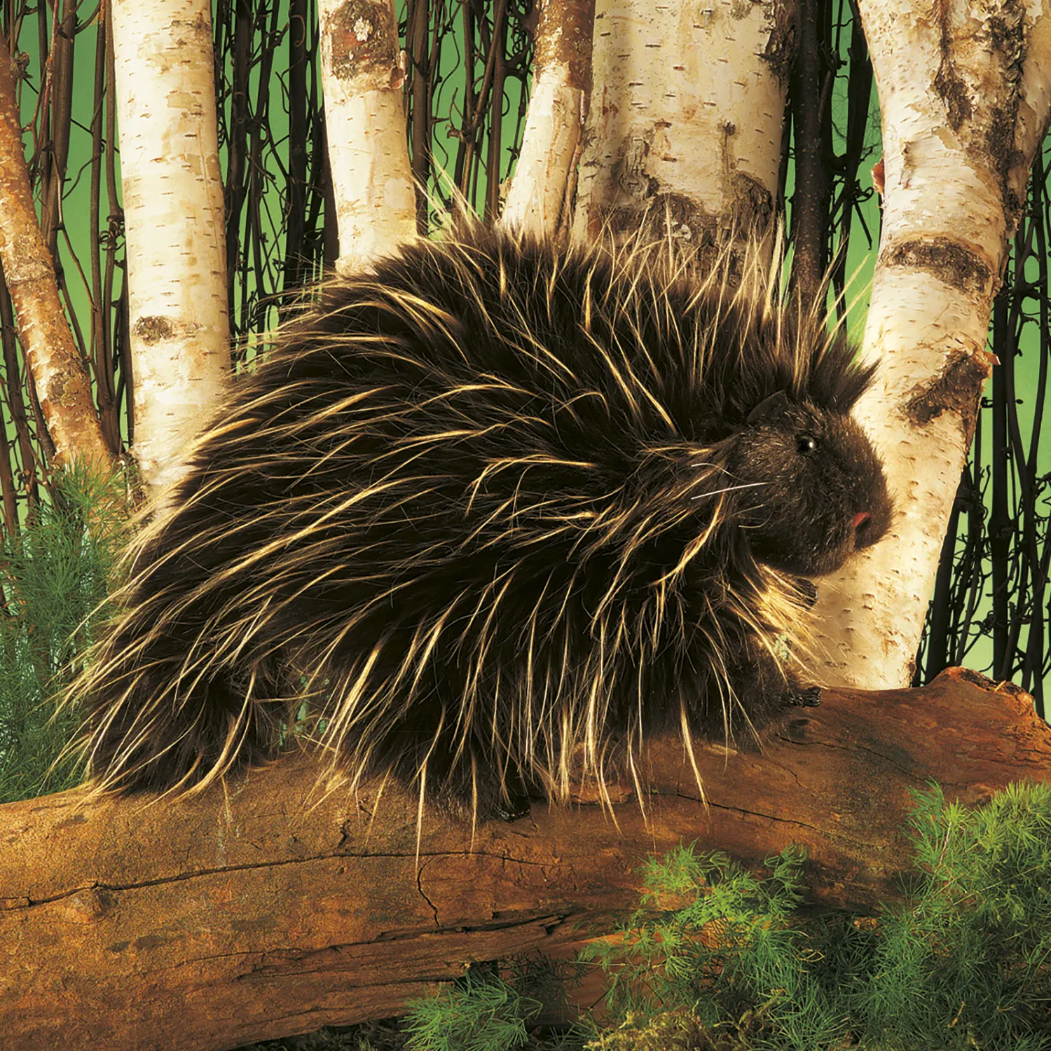 Stachelschwein / Porcupine-Folkmanis® Puppets