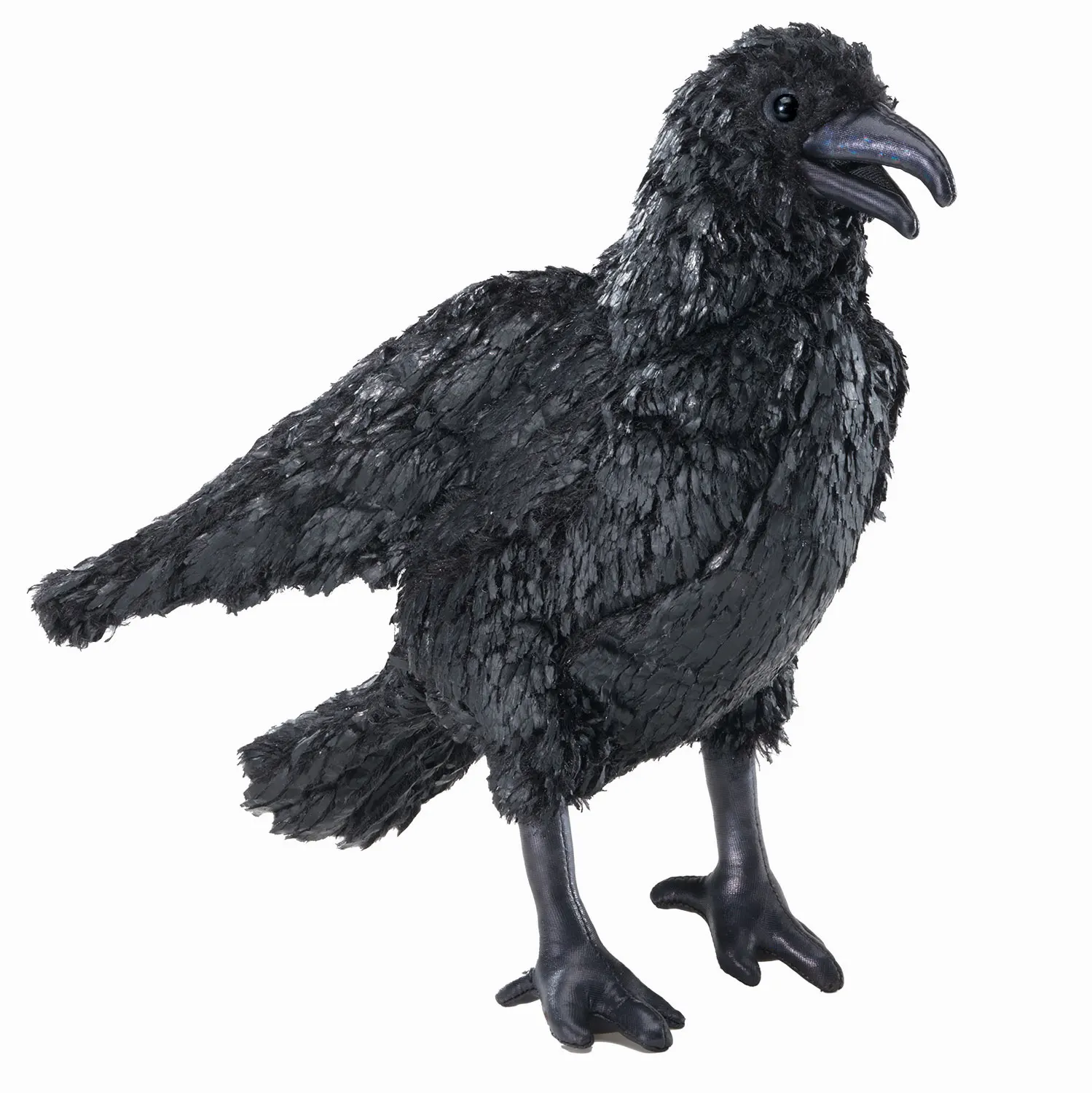 Crow / Krähe