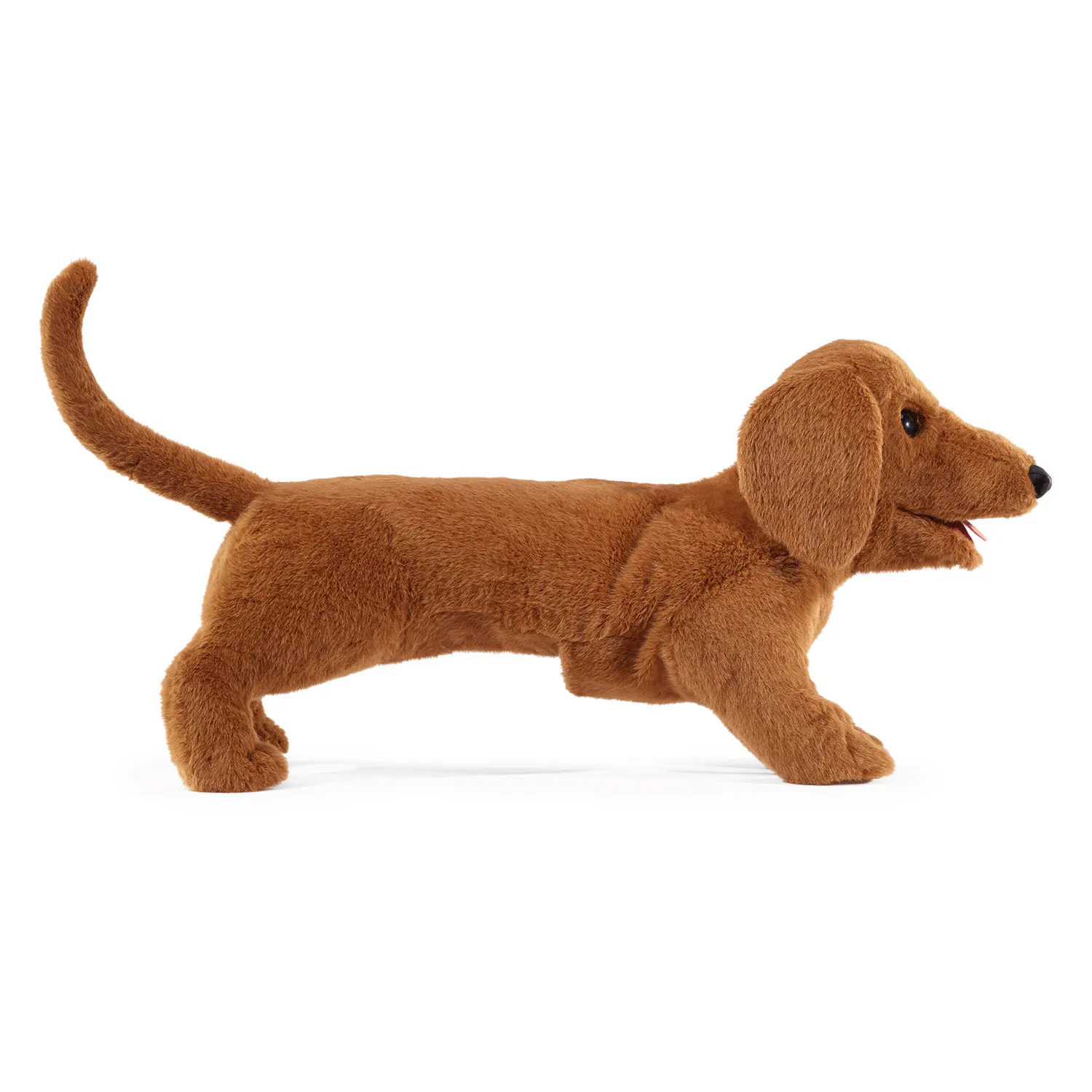 Dachshund / Dackel