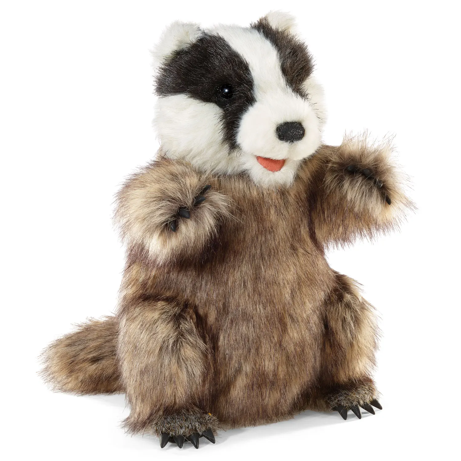 Badger / Dachs