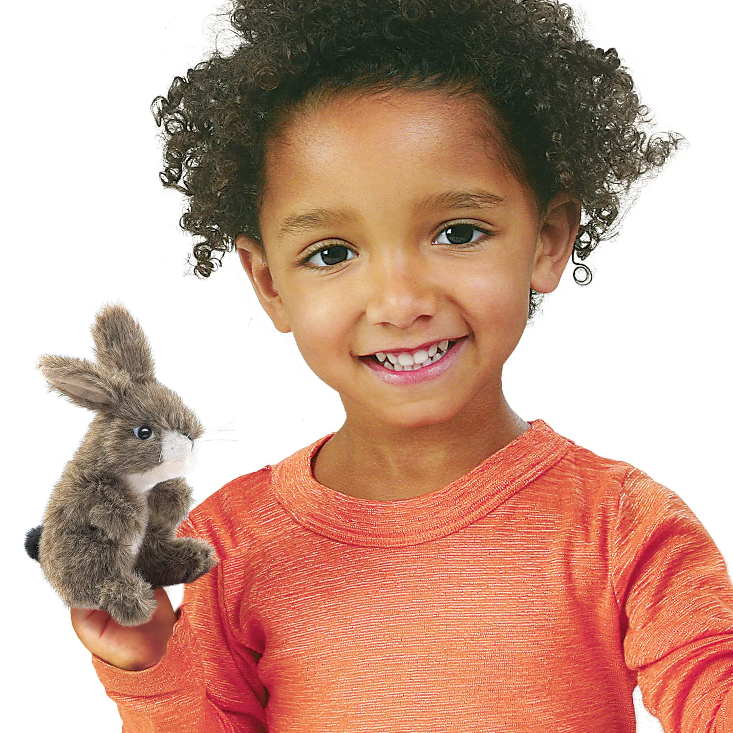 Mini Feldhase / Mini Jack Rabbit